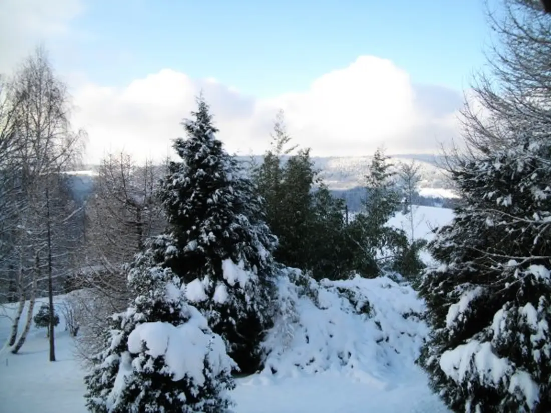 Maison de Vacances Anould 3