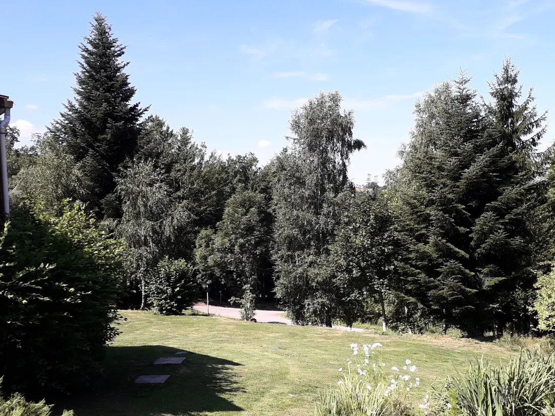 Maison de Vacances Anould 5