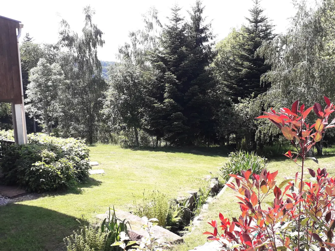 Maison de Vacances Anould 5
