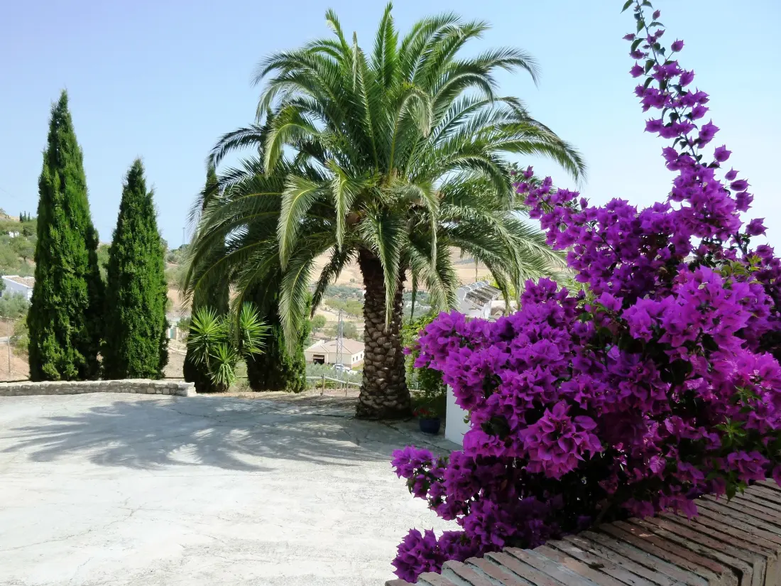 Maison de Vacances Antequera 2