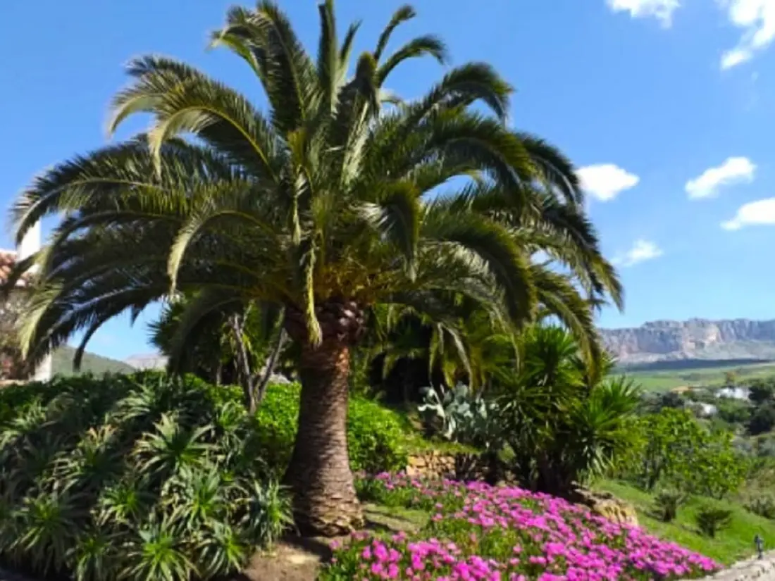 Maison de Vacances Antequera 2