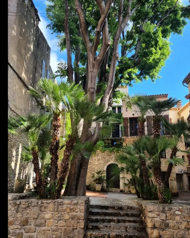 06an - Bel Appartement Au Cœur Du Vieil Antibes