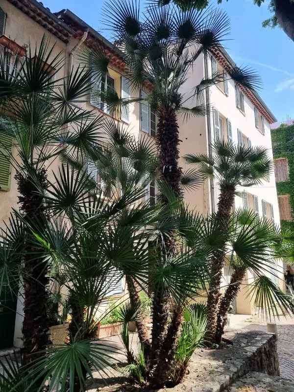 06an - Bel Appartement Au Cœur Du Vieil Antibes