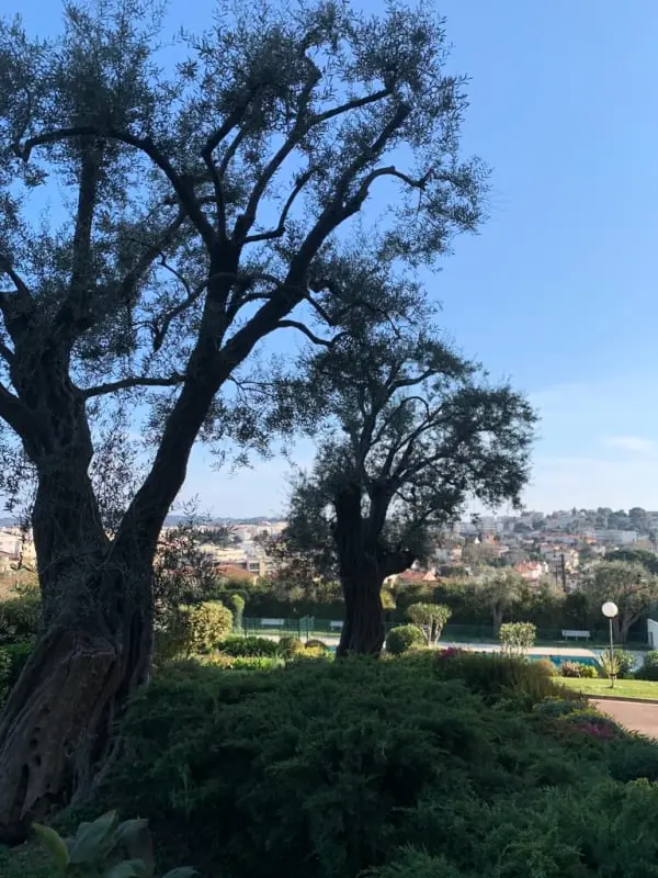 Résidence Studio Avec Vue Panoramique Dans Une Résidence Avec Piscine