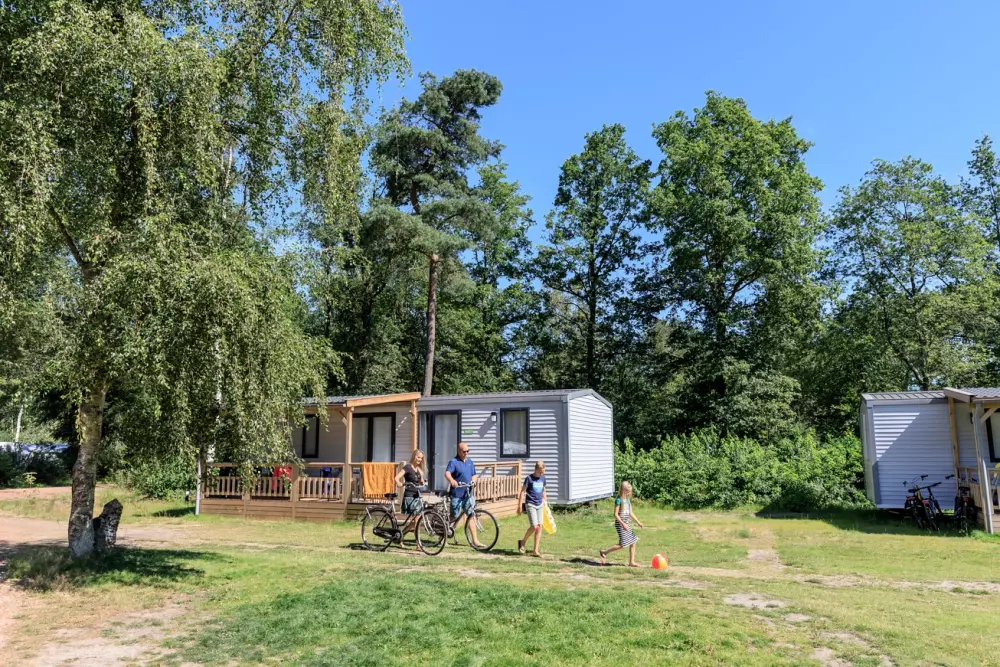 RCN Vakantiepark de Roggeberg 4 étoiles★★★★