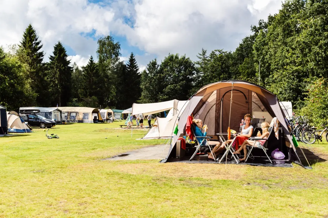 RCN Vakantiepark de Roggeberg 4 étoiles★★★★