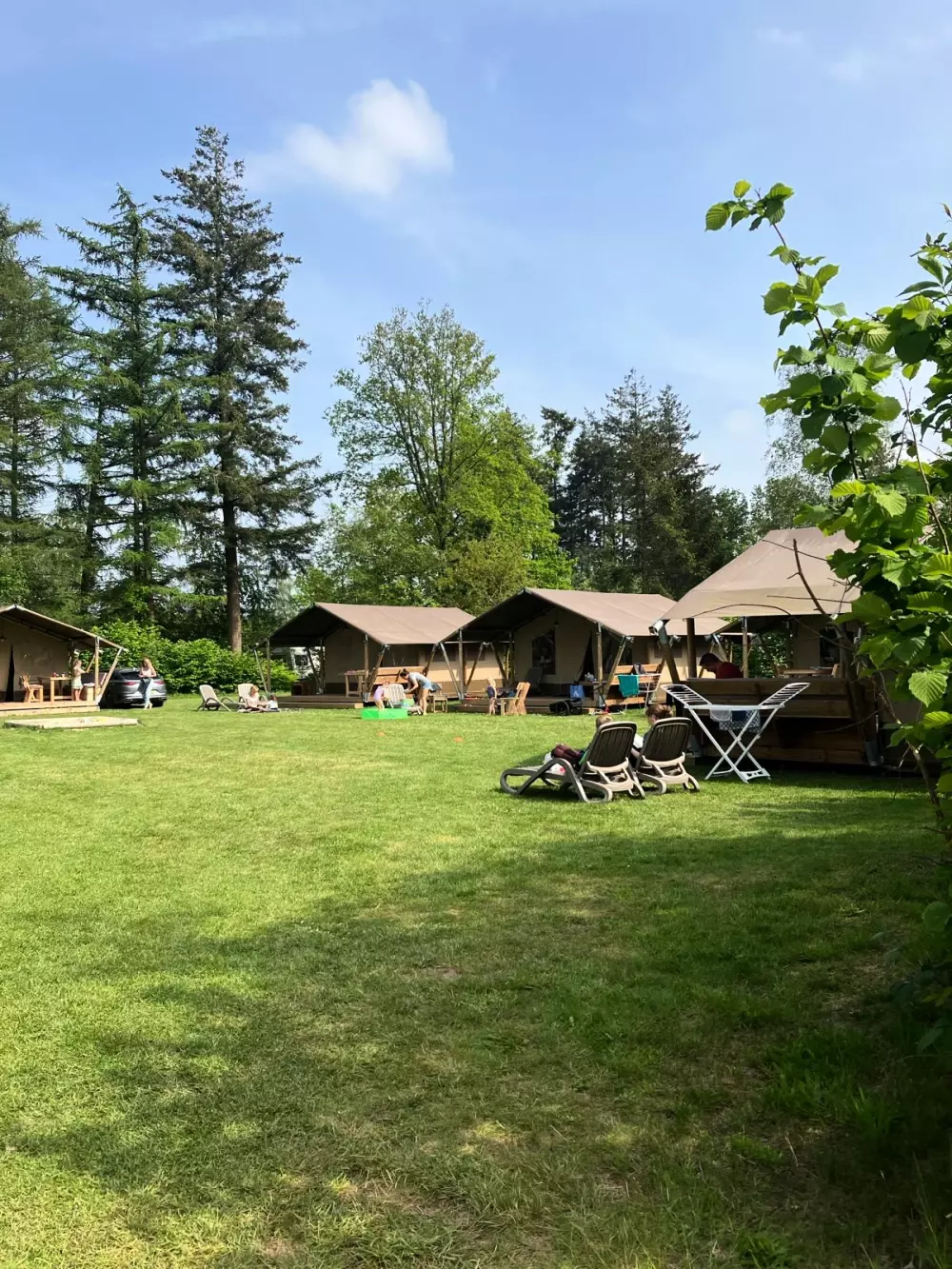 RCN Vakantiepark de Roggeberg 4 étoiles★★★★