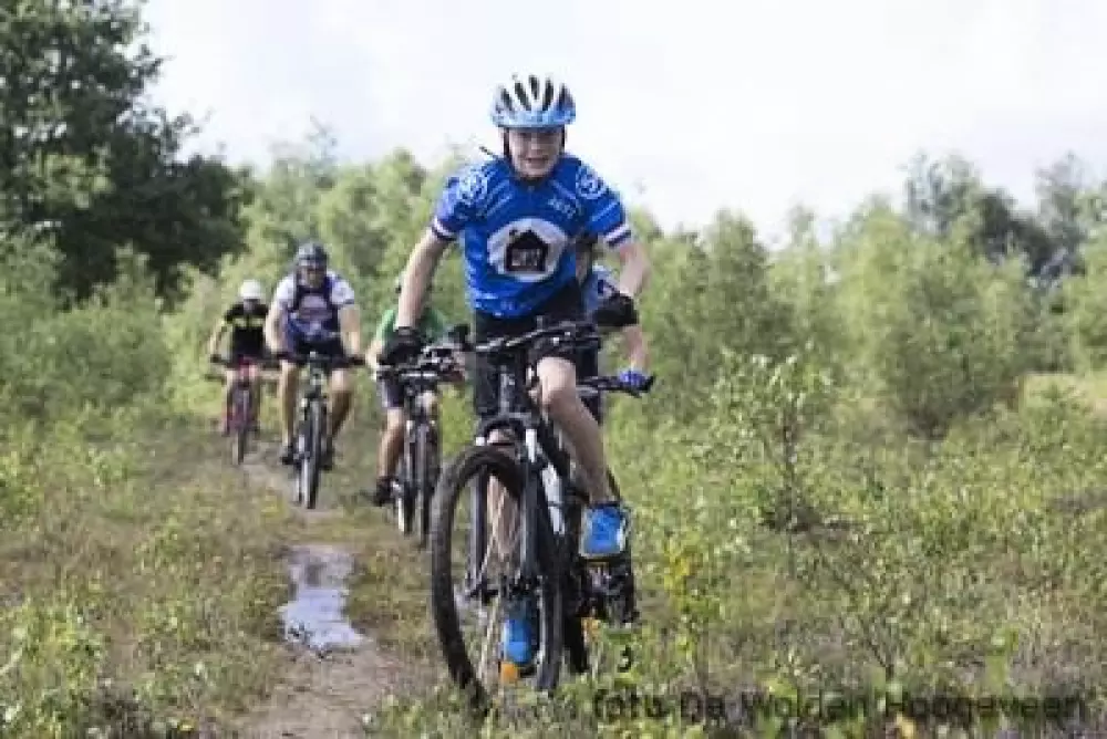 RCN Vakantiepark de Roggeberg 4 étoiles★★★★