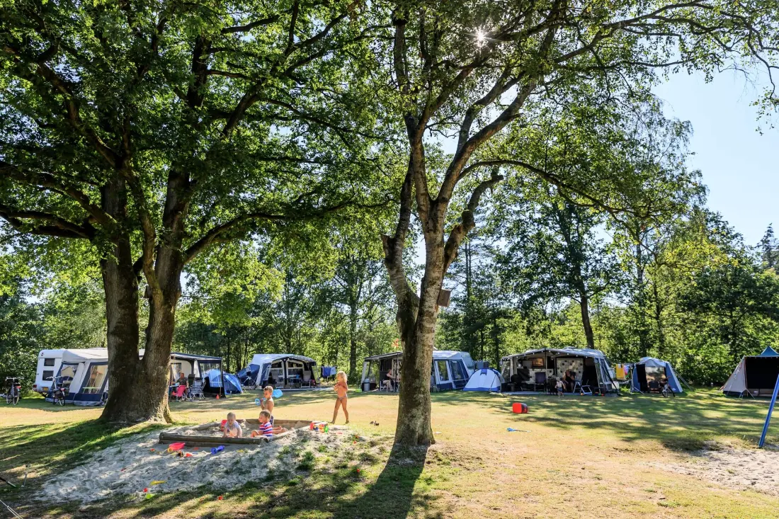 RCN Vakantiepark de Roggeberg 4 étoiles★★★★
