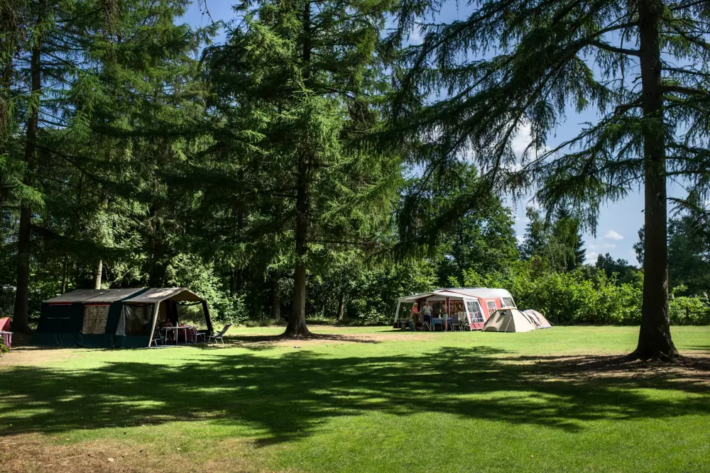 RCN Vakantiepark de Roggeberg 4 étoiles★★★★