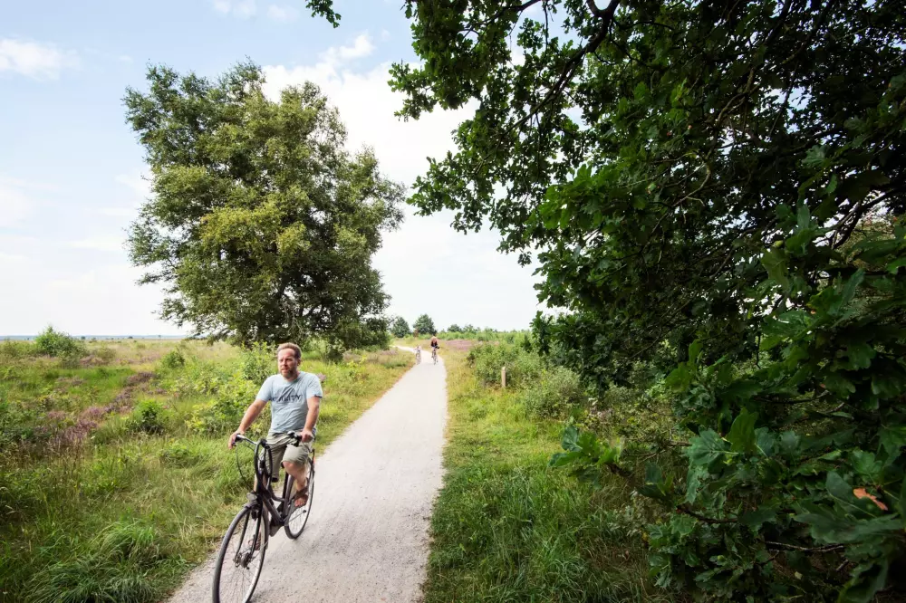 RCN Vakantiepark de Roggeberg 4 étoiles★★★★