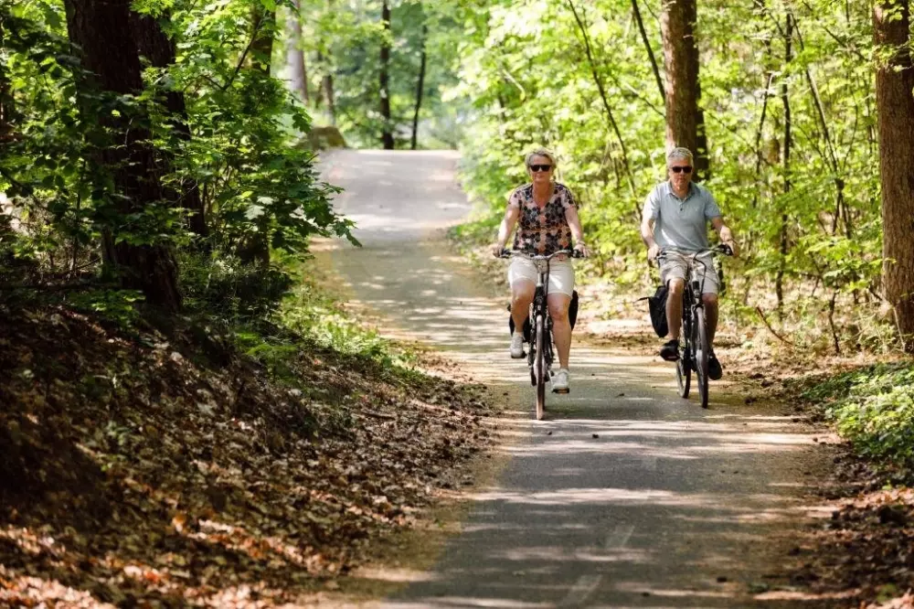 RCN Vakantiepark de Roggeberg 4 étoiles★★★★