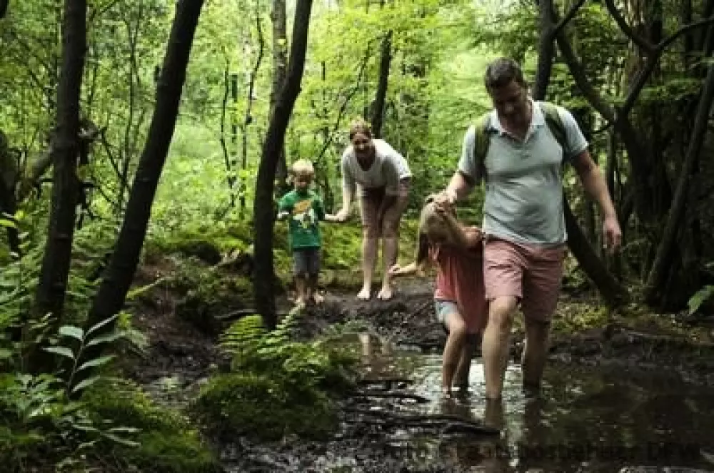 RCN Vakantiepark de Roggeberg 4 étoiles★★★★