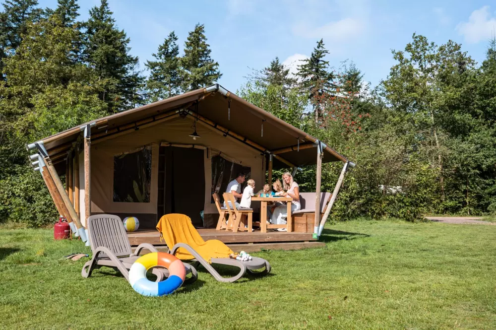 RCN Vakantiepark de Roggeberg 4 étoiles★★★★