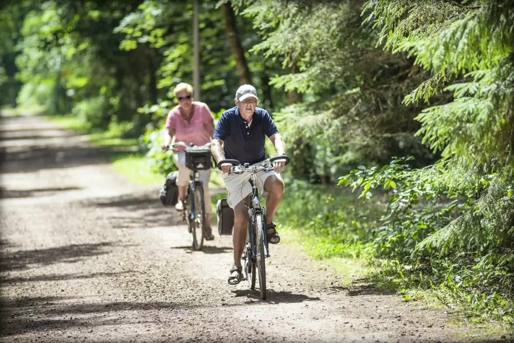 RCN Vakantiepark de Roggeberg 4 étoiles★★★★