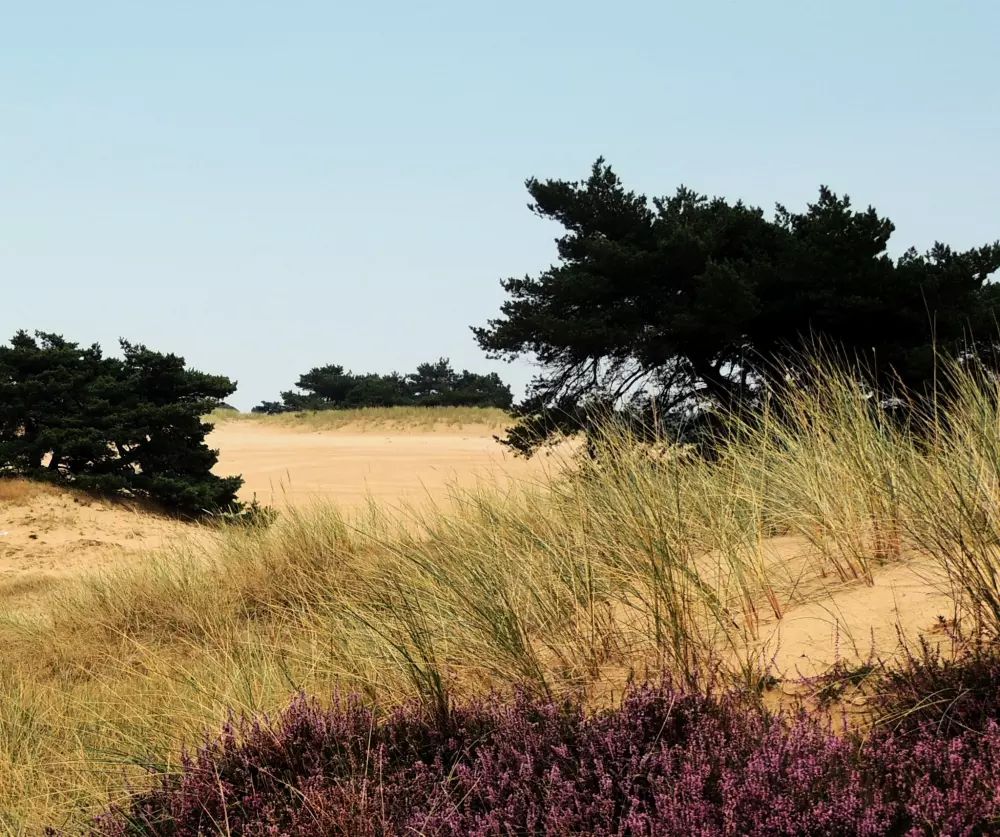 RCN Vakantiepark de Roggeberg 4 étoiles★★★★