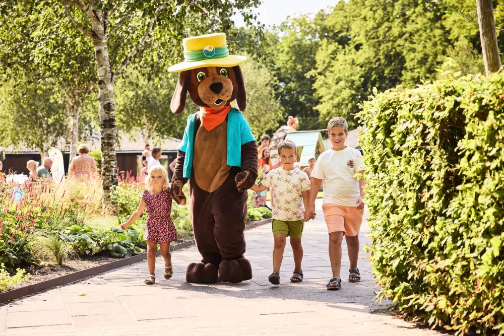 RCN Vakantiepark de Roggeberg 4 étoiles★★★★