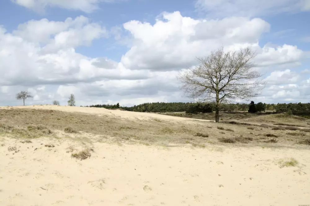 RCN Vakantiepark de Roggeberg 4 étoiles★★★★