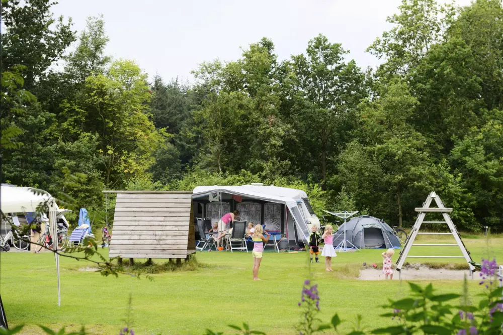 RCN Vakantiepark de Roggeberg 4 étoiles★★★★