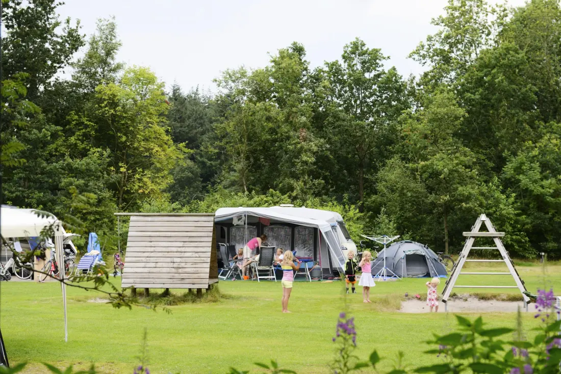 RCN Vakantiepark de Roggeberg 4 étoiles★★★★