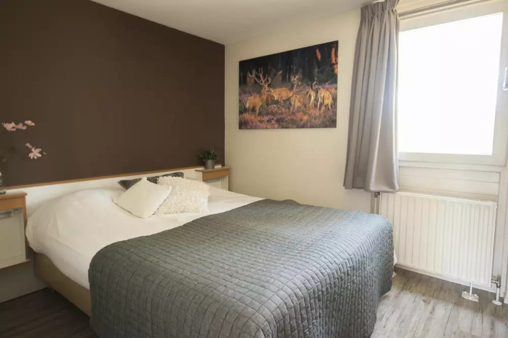 RCN Vakantiepark de Roggeberg 4 étoiles★★★★