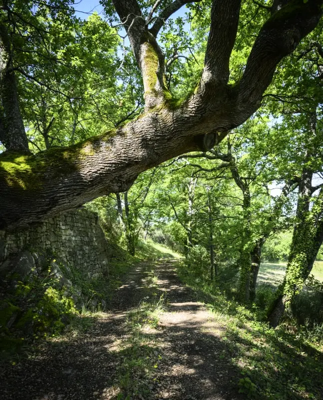 La Bohème, Bastide Exceptionnelle Dans Un Parc Immense.
