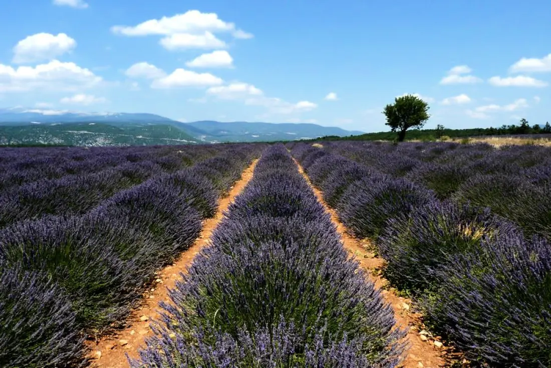 Le Castel Luberon3 étoiles★★★