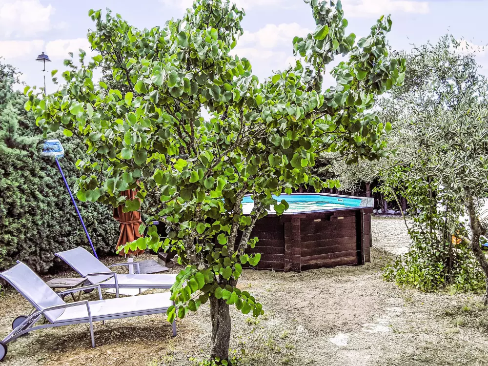 Maison de Vacances Apt