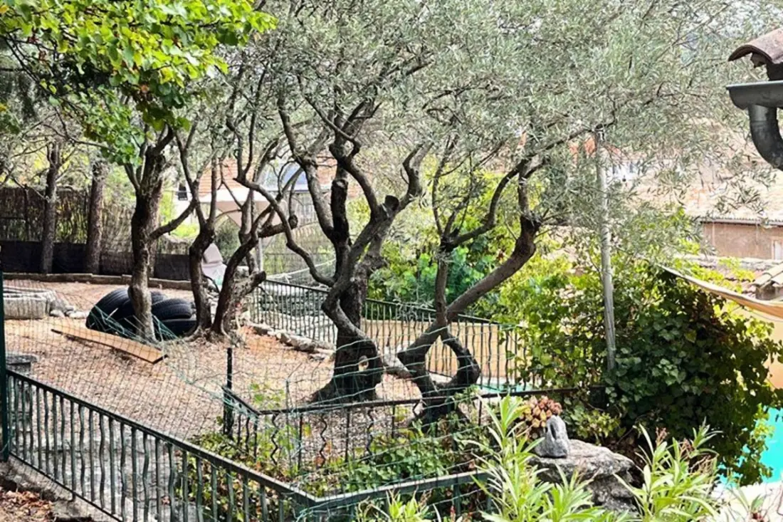 Villa Balleti - Piscine Privée Avec Vues