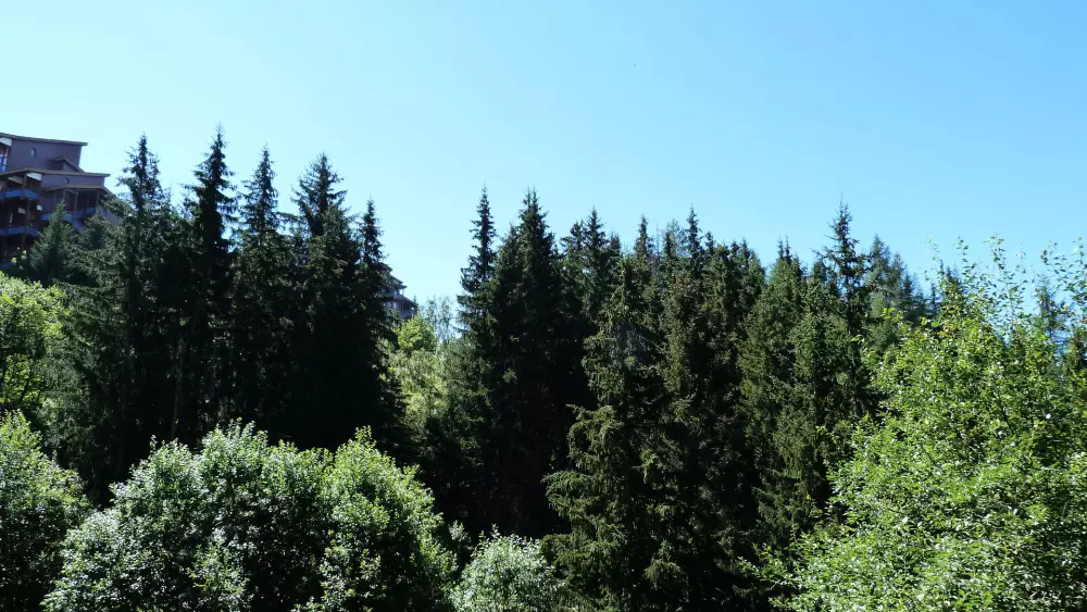 Résidence Aiguille Des Glaciers