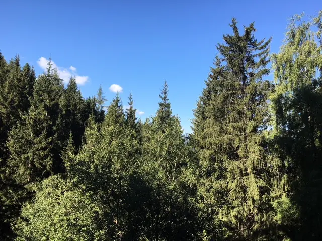 Résidence Aiguille Des Glaciers