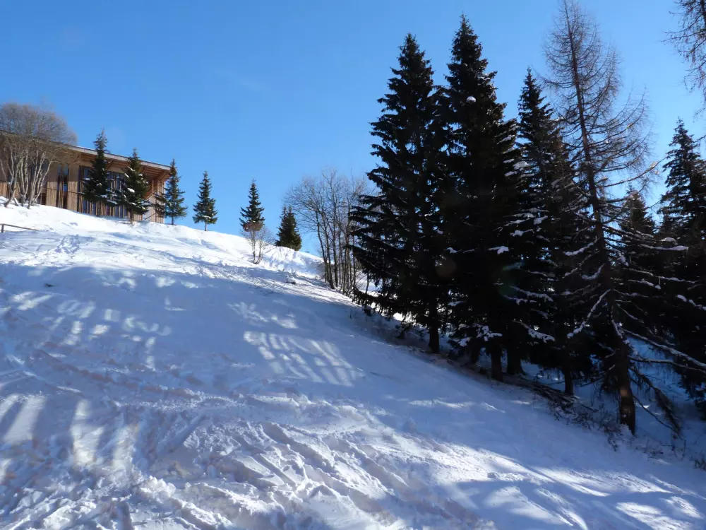 Résidence Aiguille Grive Bat I