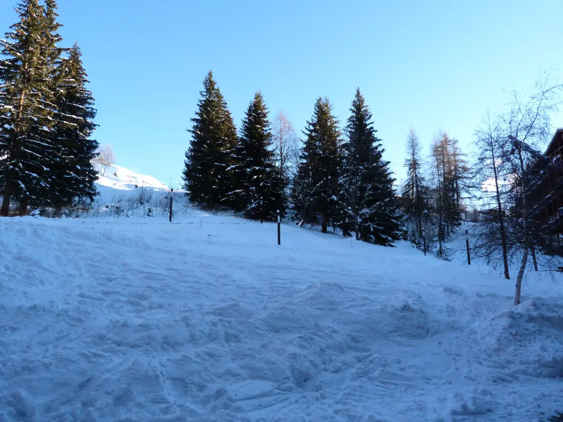Résidence Aiguille Grive Bat Ii