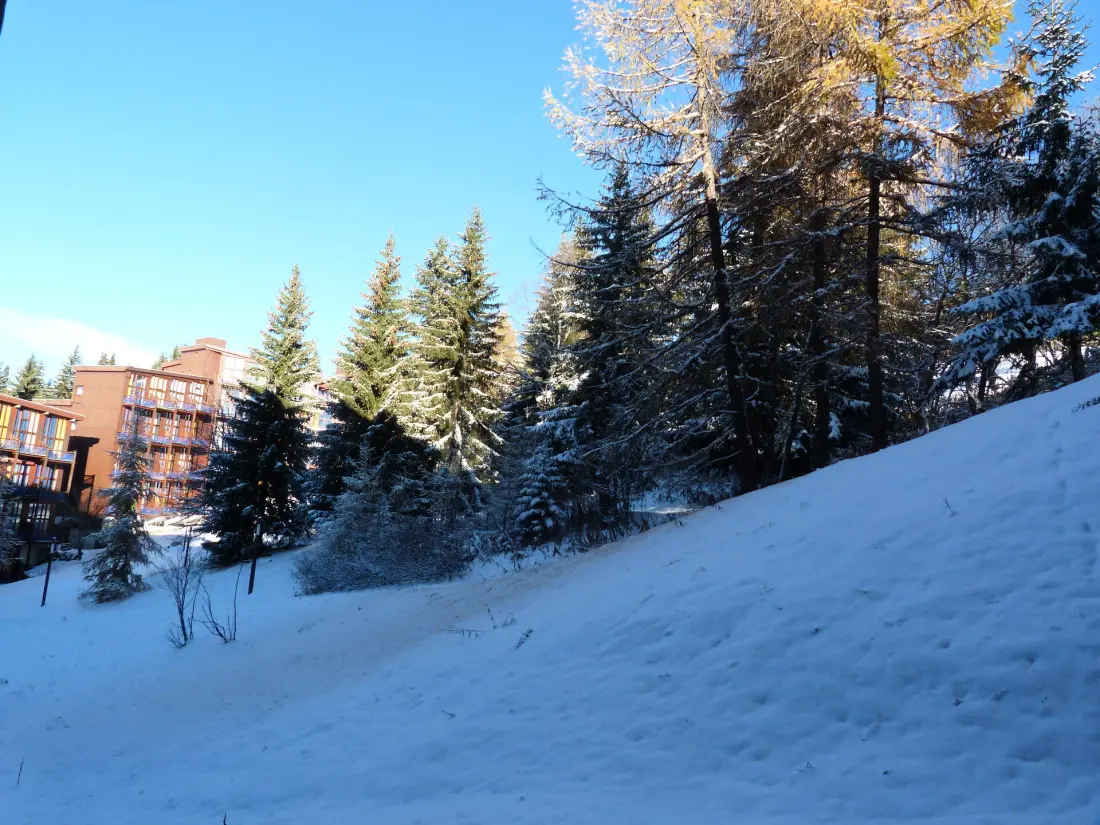 Résidence Aiguille Grive Bat Iii