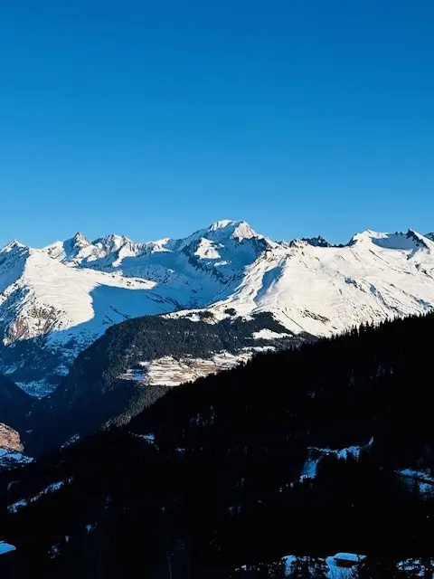 Résidence Saint Bernard