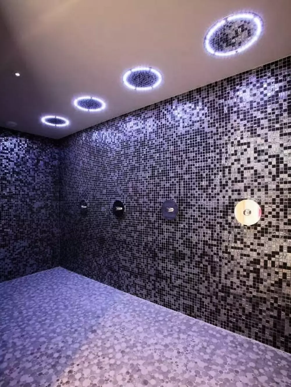 Résidence La Source des Arcs5 étoiles★★★★★ - Chalet des Neiges