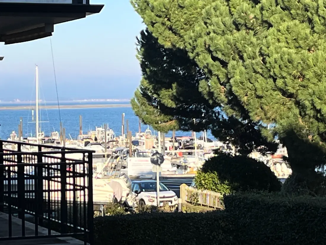 Location de Vacances Arcachon 1004