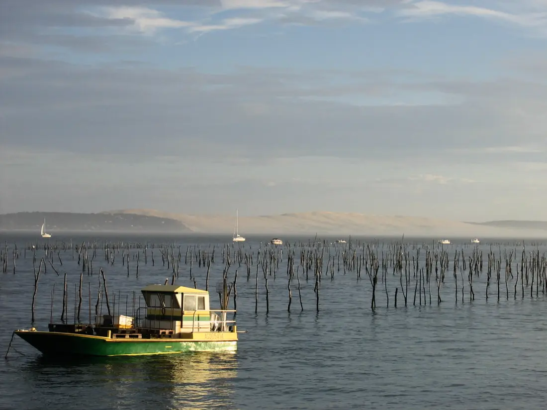 Location de Vacances Arcachon 292