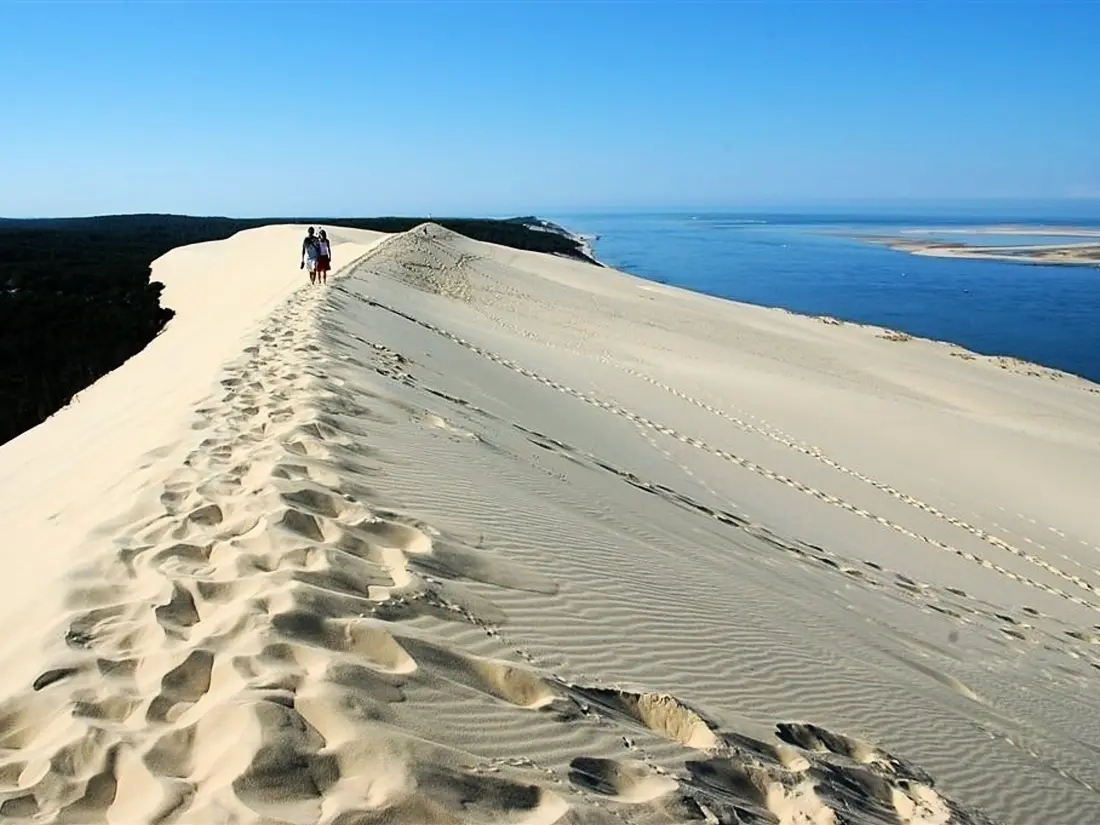 Location de Vacances Arcachon 439