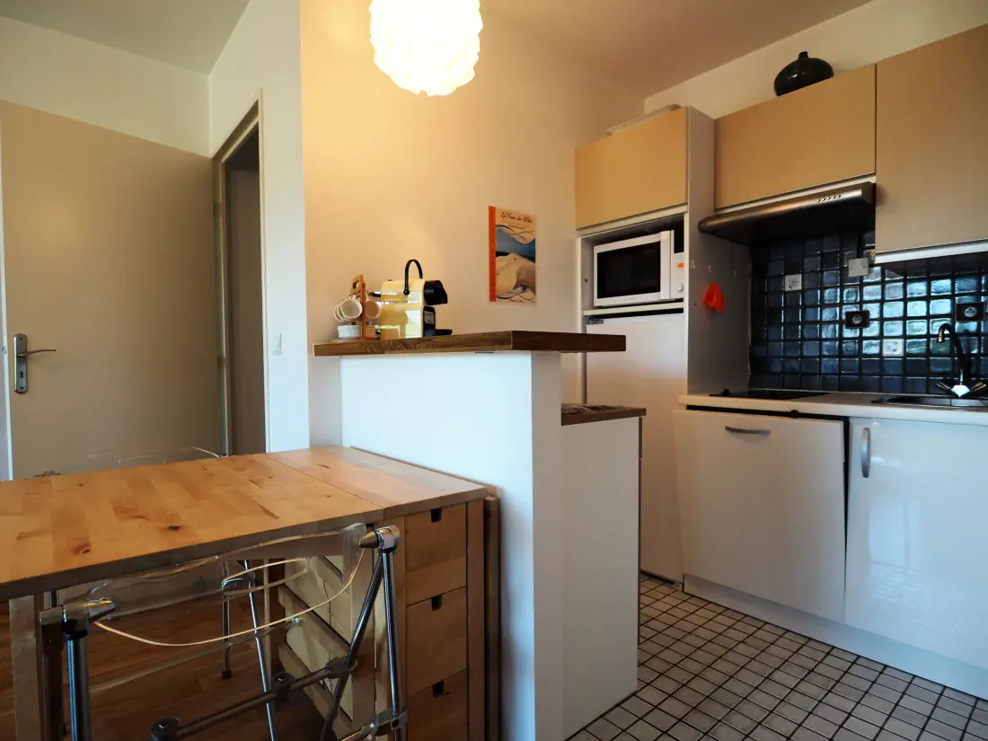Location de Vacances Arcachon 476