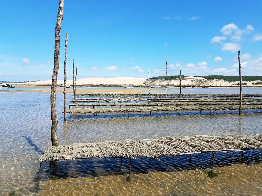 Location de Vacances Arcachon 700