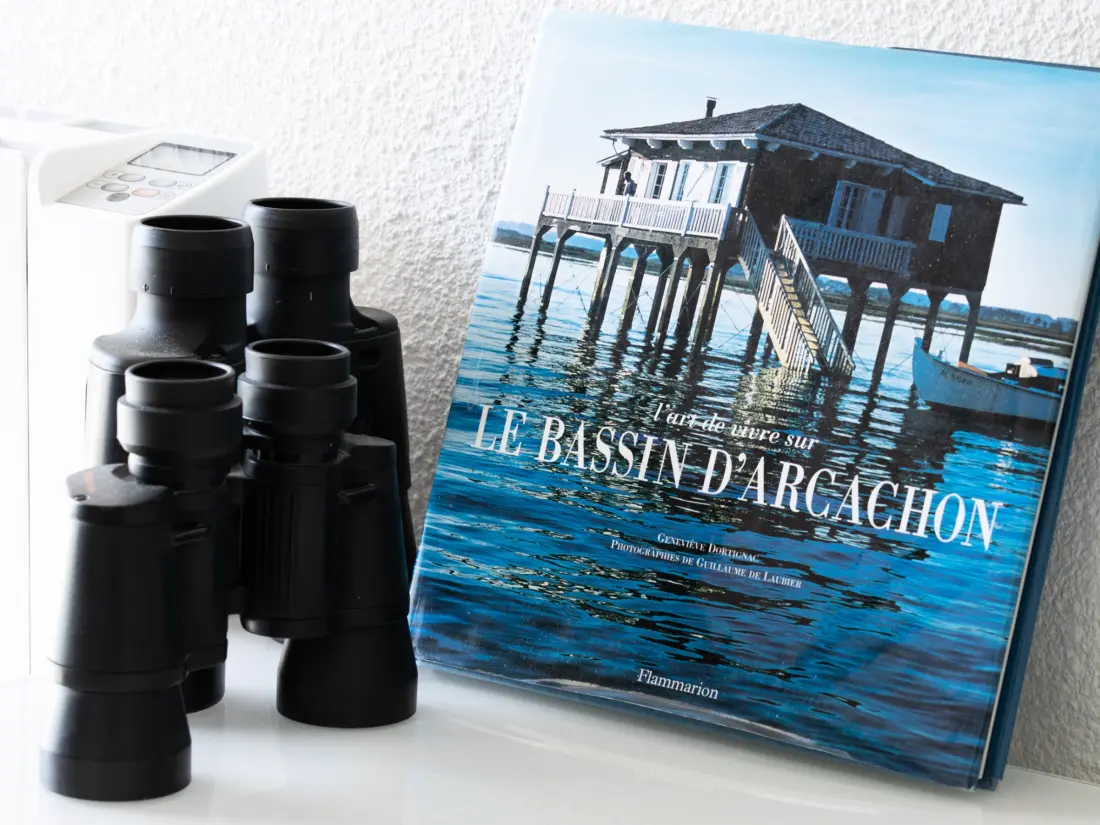 Location de Vacances Arcachon 774
