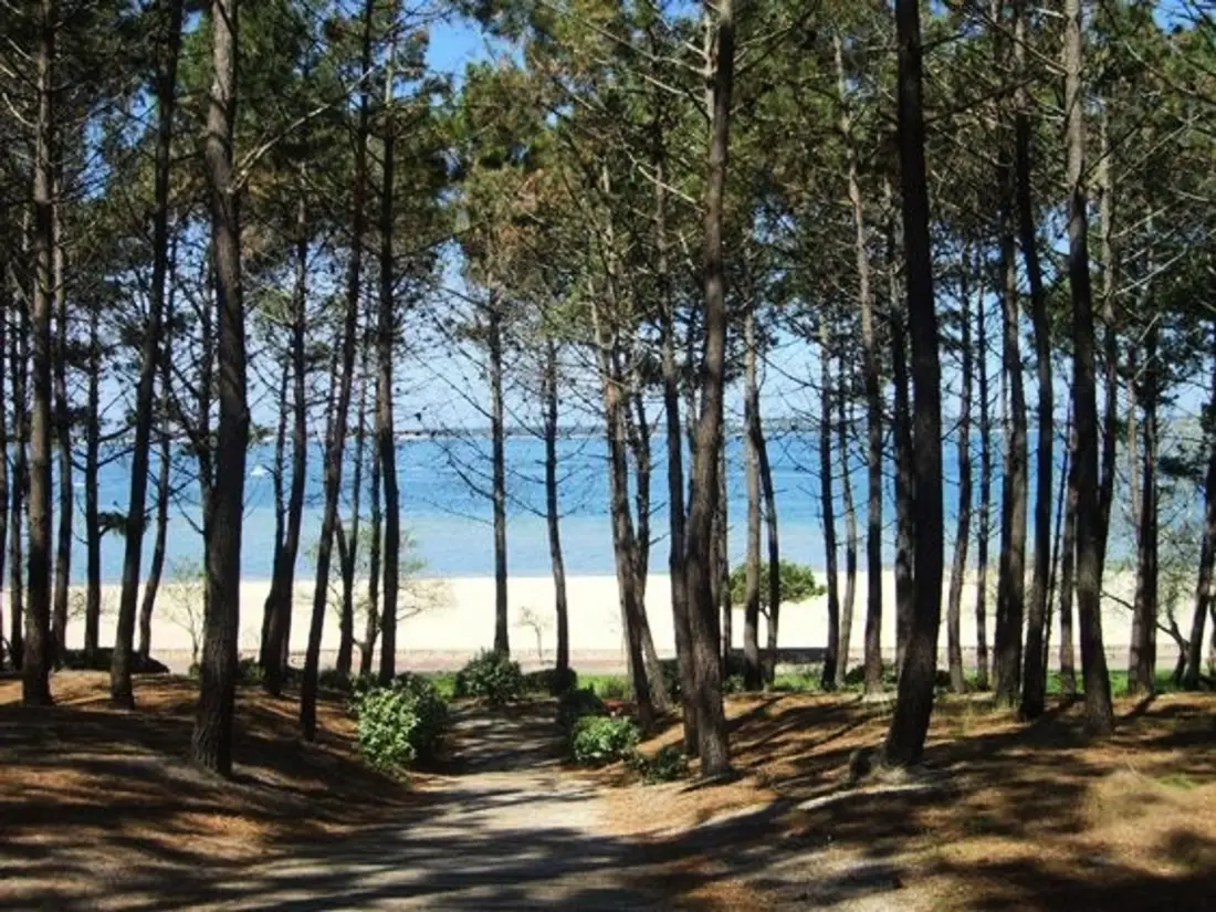 Maison de Vacances Arcachon 562