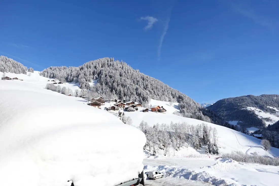Chalet Du Planay