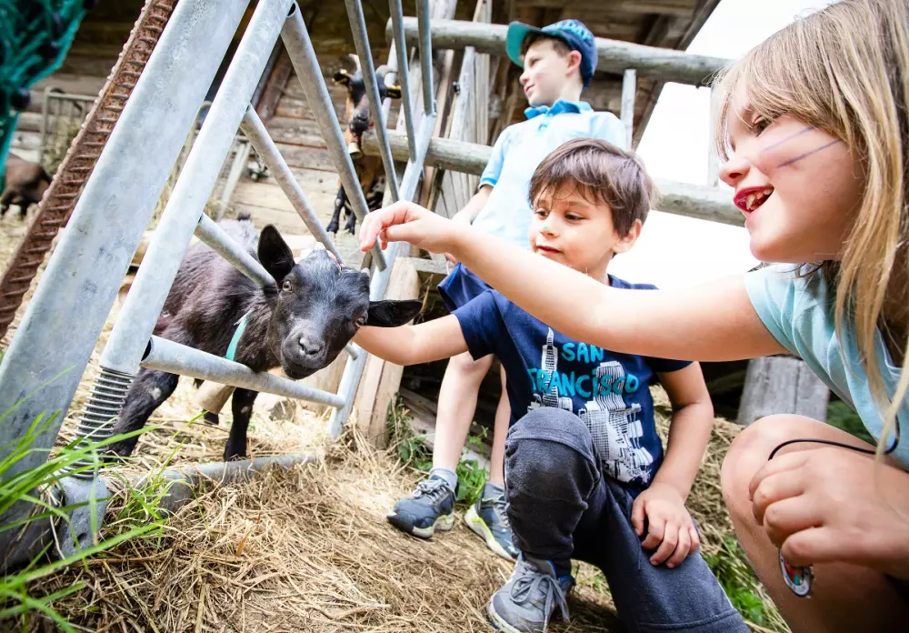 Résidence Club MMV La Clé des Cimes 4 étoiles★★★★