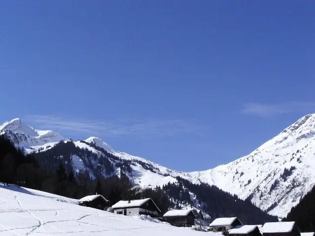 Résidence Gentiane