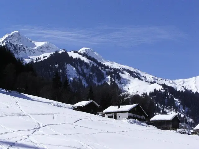 Résidence Gentiane