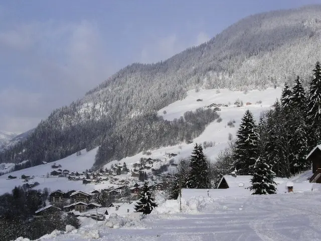 Résidence Gentiane