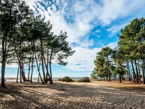 Camping Les Goélands 3 étoiles★★★