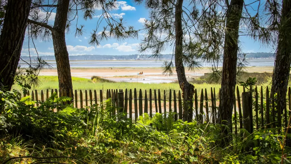 Camping Les Goélands 31 étoiles★ - Plage